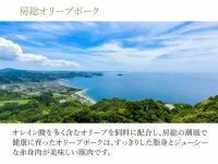 大判ハム・ソーセージセットＢ8