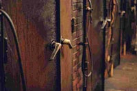 メッセージカード1